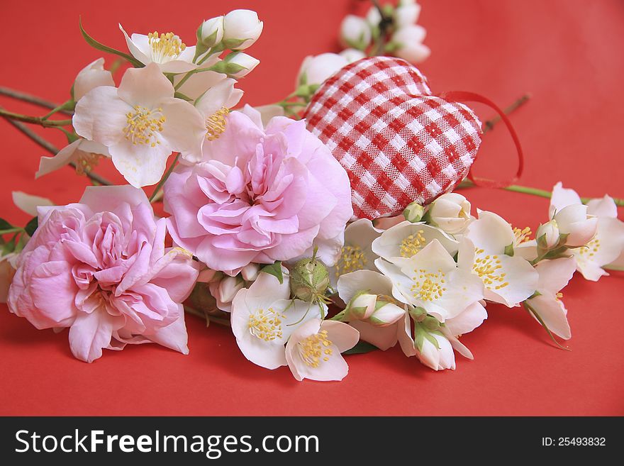 Jasmine flowers on a red background