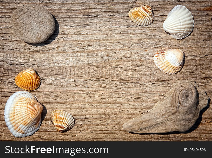 Seashells border on the old wooden deck