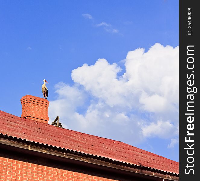 Stork Sitting On The Top Of A Roof