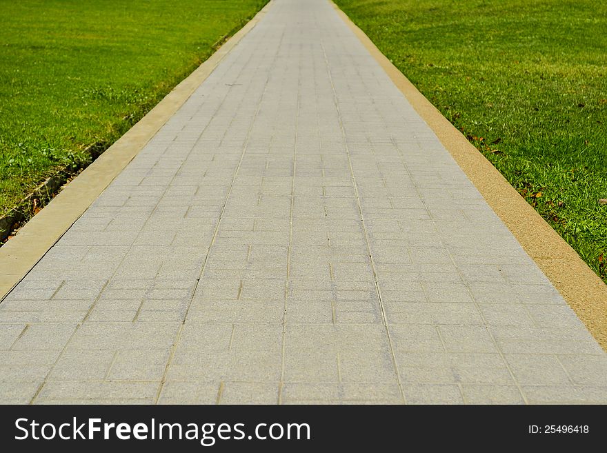 Path And Grass