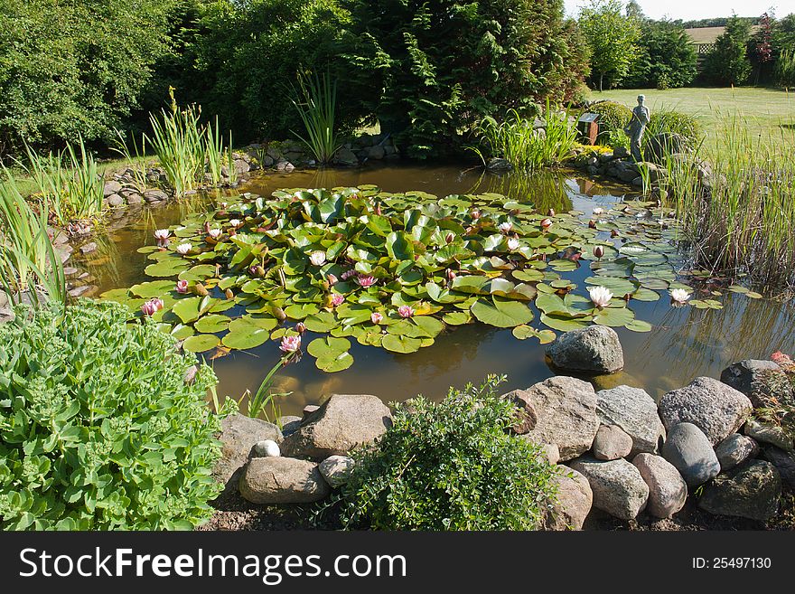 Beautiful classical garden fish pond with blooming water lilies gardening background