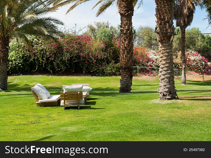 Tropical resort garden rest area with green lawns and palm trees. Tropical resort garden rest area with green lawns and palm trees