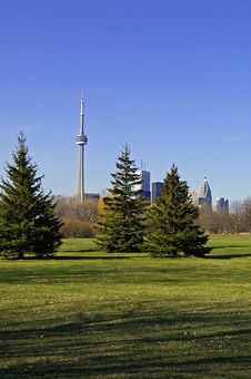 Toronto Skyline From Park Stock Images Toronto Skyline From Park Stock Images