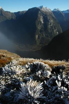 Milford Track Landscape Royalty Free Stock Photography
