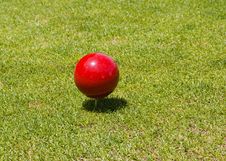 Red Ball On Tee Stock Photography