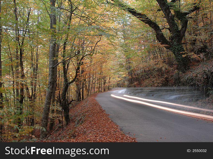 Autumn lnadscape with a road. Autumn lnadscape with a road