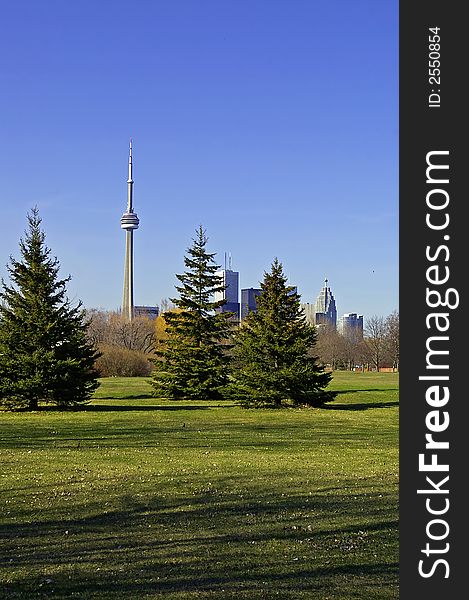 A portion of the Toronto skyline (including the CN Tower) from a park (Centre Island) in spring. Grass and trees in foreground of skyline against a clear blue sky background. A portion of the Toronto skyline (including the CN Tower) from a park (Centre Island) in spring. Grass and trees in foreground of skyline against a clear blue sky background.