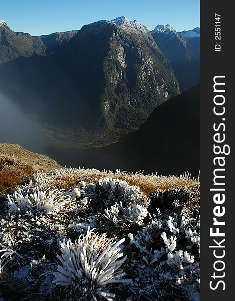 Milford Track Landscape