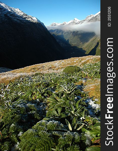 The Milford Track, New Zealand. The Milford Track, New Zealand.