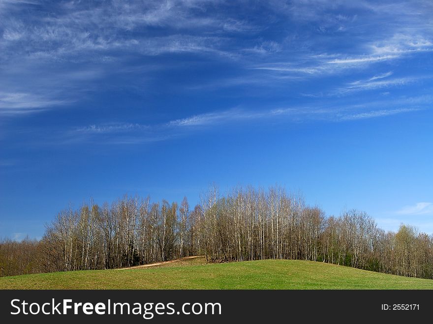 Plumose clouds above a spring field