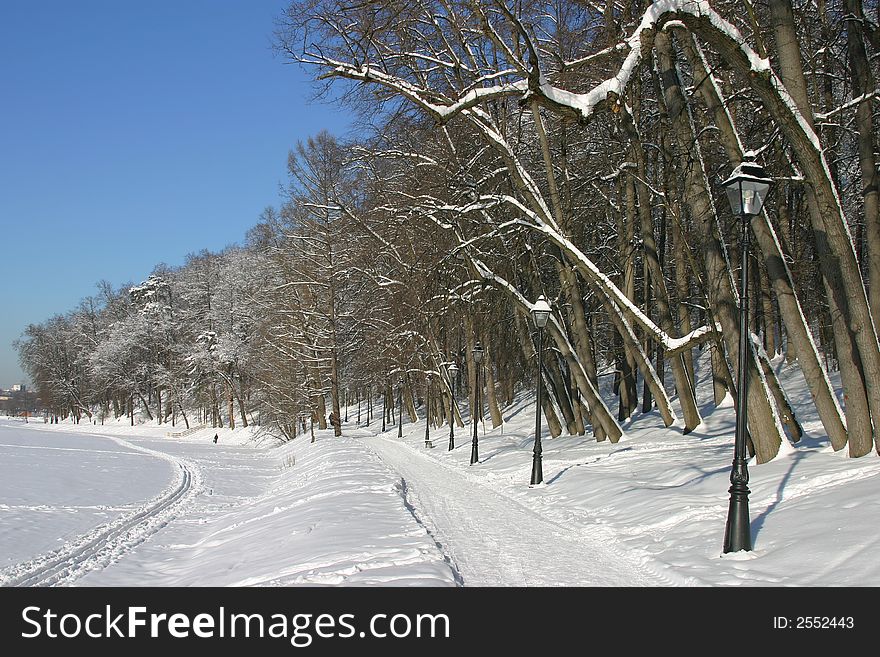 The winter park, trees, snow