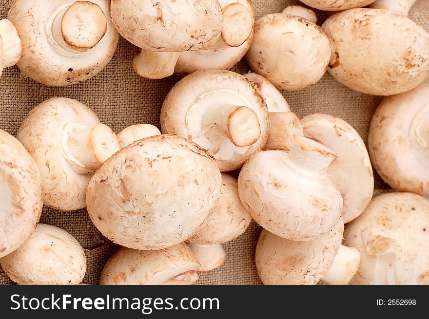 Many mushrooms on the table