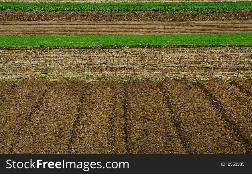 A lines on agricultural fields. A lines on agricultural fields