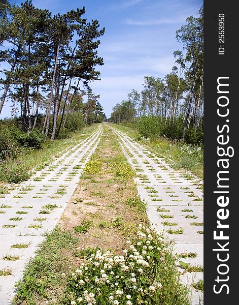 An empty narrow path made of concrete slabs, leading deep into the background. The Baltic sea shoreline, some trees. Clear blue sky.

<a href='http://www.dreamstime.com/baltic-sea-scenics.-seaside-towns-and-villages-as-well.-rcollection3976-resi208938' STYLE='font-size:13px; text-decoration: blink; color:#FF0000'><b>MORE BALTIC PHOTOS Â»</b></a>. An empty narrow path made of concrete slabs, leading deep into the background. The Baltic sea shoreline, some trees. Clear blue sky.

<a href='http://www.dreamstime.com/baltic-sea-scenics.-seaside-towns-and-villages-as-well.-rcollection3976-resi208938' STYLE='font-size:13px; text-decoration: blink; color:#FF0000'><b>MORE BALTIC PHOTOS Â»</b></a>