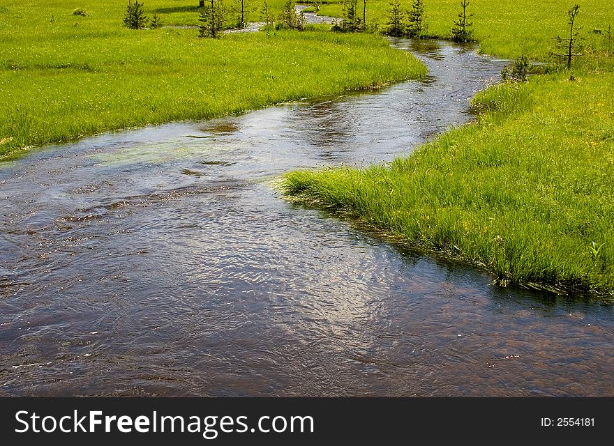 A river on the  beautiful mountain Zlatibor. A river on the  beautiful mountain Zlatibor