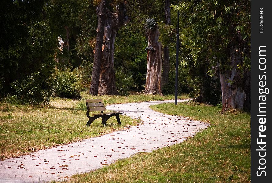 A lone country bench on winding path