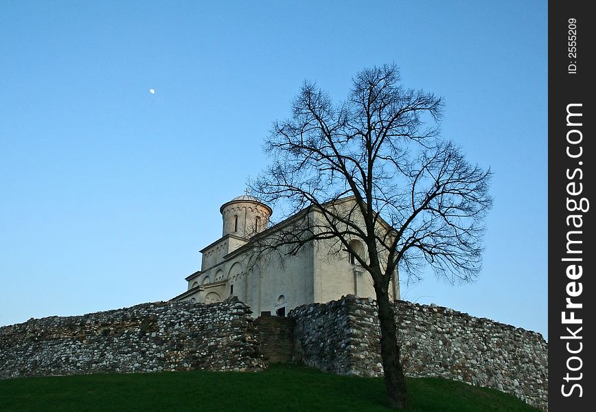 Ortodox church and tree in Serbia