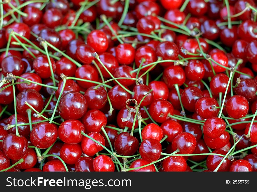 Organic and fresh cherries on the market