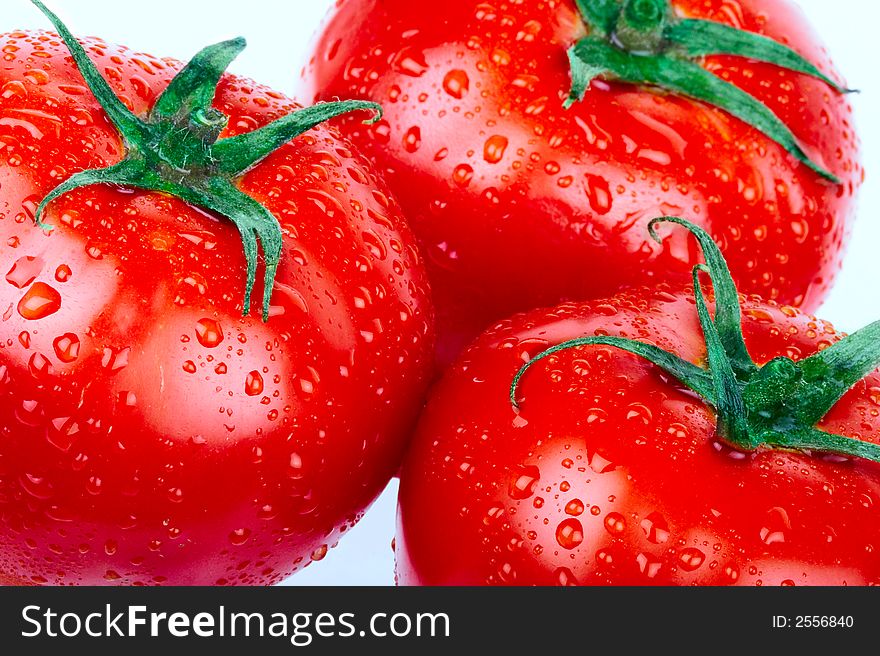 Red tomatoes. over white background