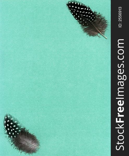 Two guineafowl feathers on green textured background. Two guineafowl feathers on green textured background
