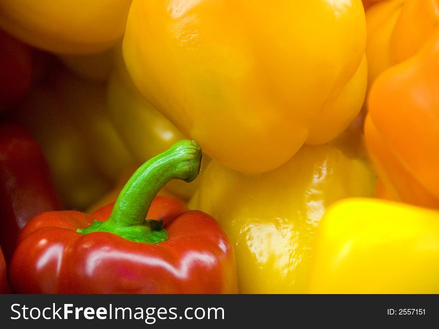 Red, yellow and orange peppers. Red, yellow and orange peppers