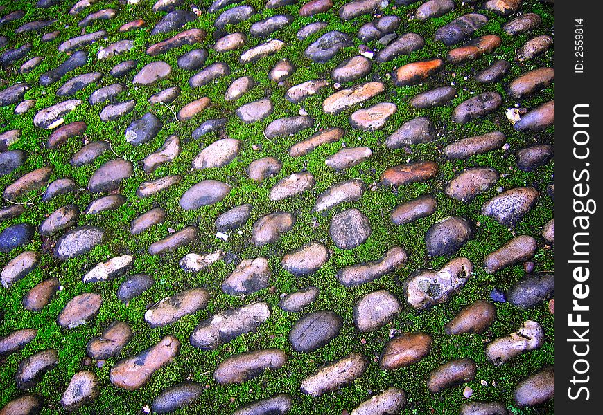 Old Cobbled Lane with Moss. Old Cobbled Lane with Moss