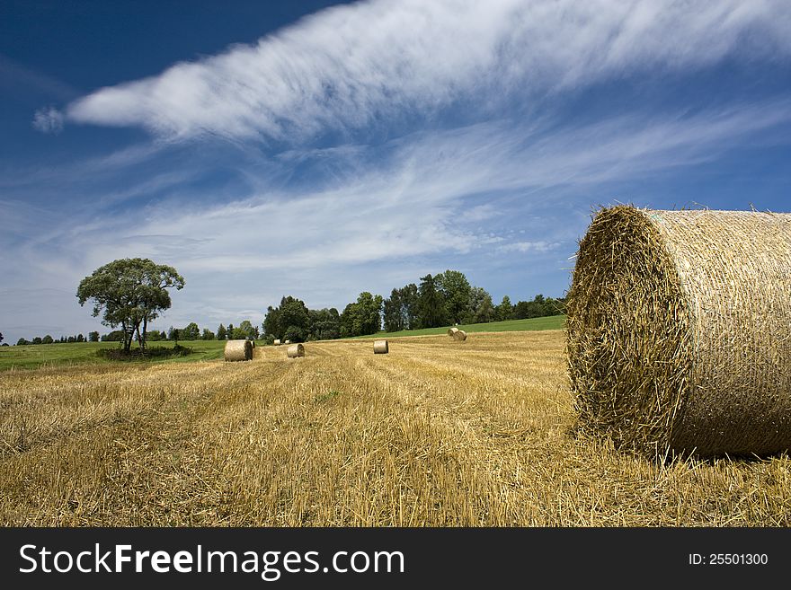 View rotated bale of straw. View rotated bale of straw