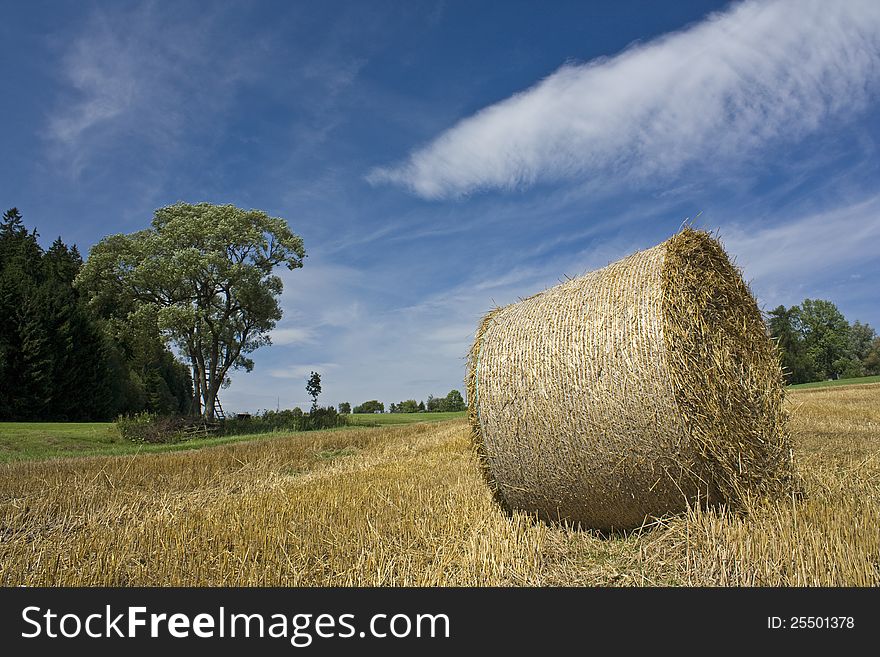 Round package of chopped straw on the field, harvested fields in the sunny day with blue sky and clouds. Round package of chopped straw on the field, harvested fields in the sunny day with blue sky and clouds