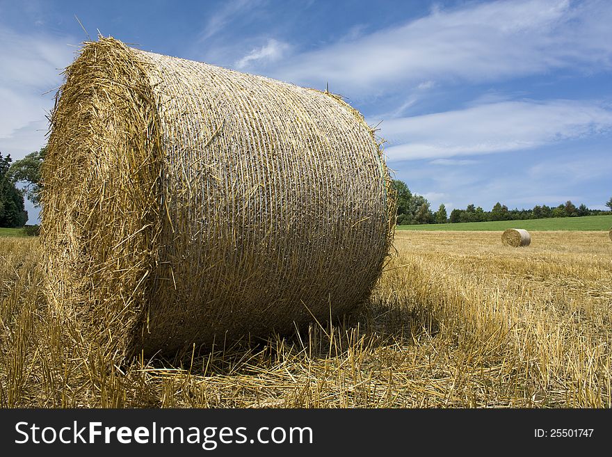 Detail of yellow round straw bale, agricultural fields after harvest with blue sky. Detail of yellow round straw bale, agricultural fields after harvest with blue sky