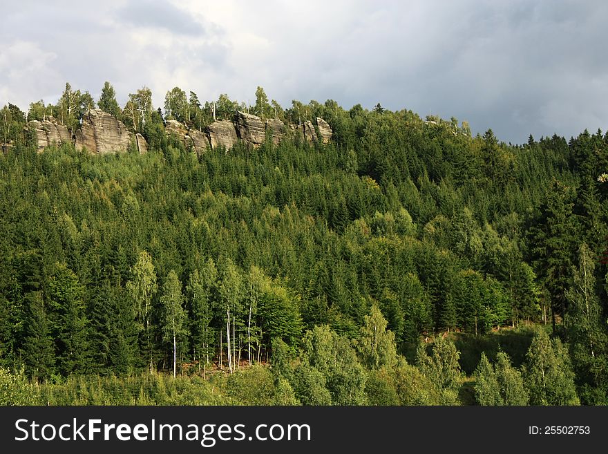 Coniferous forest with rocks and sunny day. Coniferous forest with rocks and sunny day