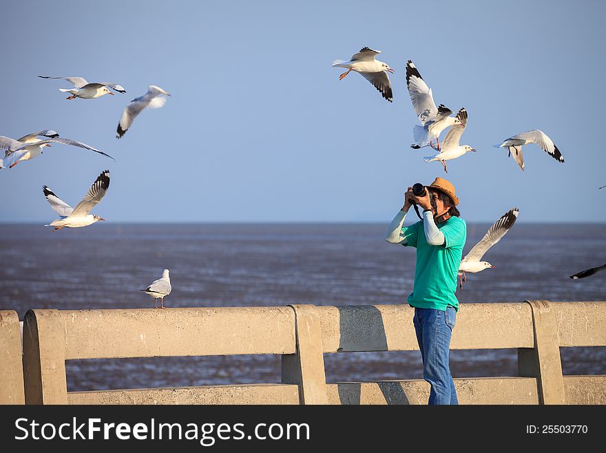 Photographer Taking Seagulls Photo