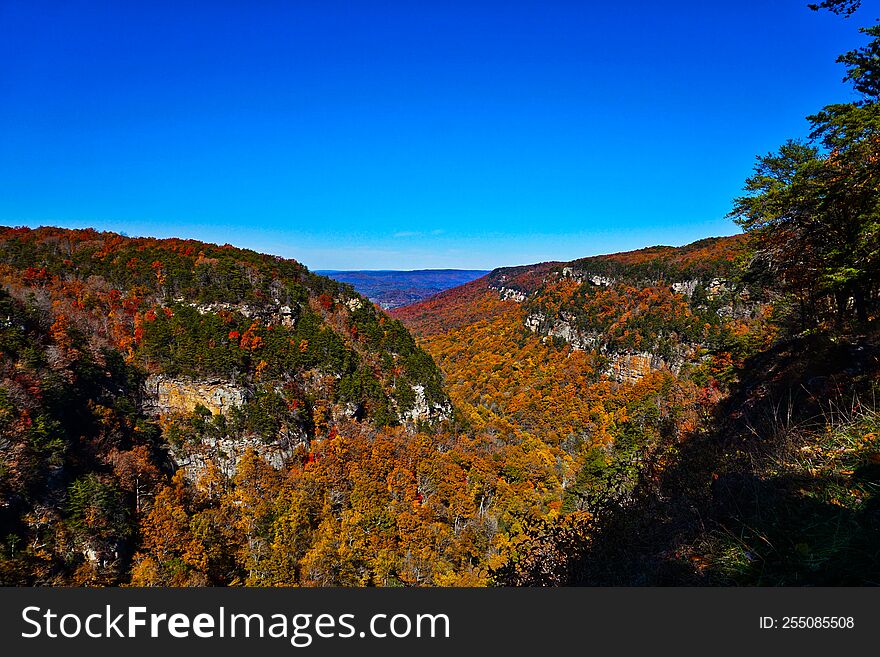 Cloudland Canyon scenic overlook in the fall