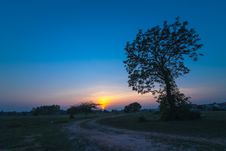 Silhouettes Of Trees At Sunset. Royalty Free Stock Photos