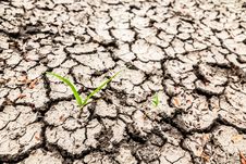Dry Soil Surface. Royalty Free Stock Photo Dry Soil Surface. Royalty Free Stock Photo