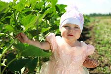 Little Child Walking In Green Field Stock Photography Little Child Walking In Green Field Stock Photography