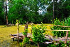 The Old Wooden Bridge On The Bank Royalty Free Stock Image The Old Wooden Bridge On The Bank Royalty Free Stock Image