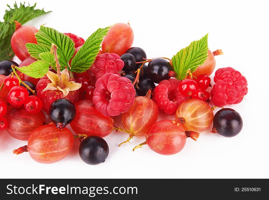 different berries on white background. different berries on white background