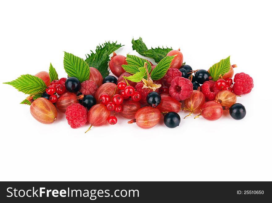 different berries on a white