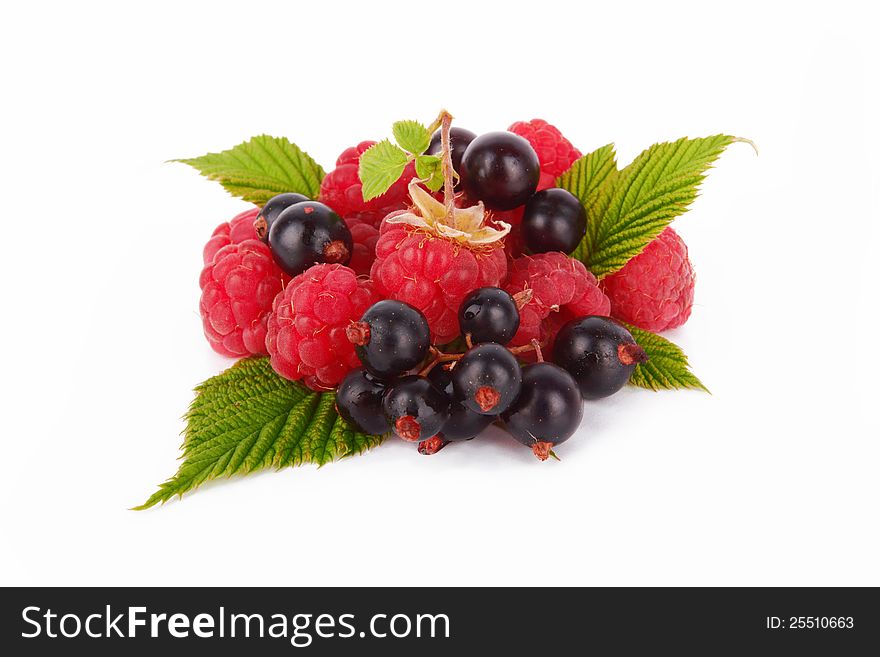 Fresh Raspberries