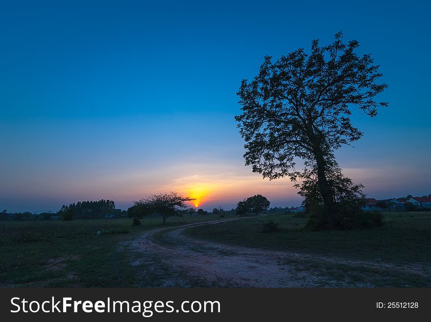 Silhouettes Of Trees At Sunset.