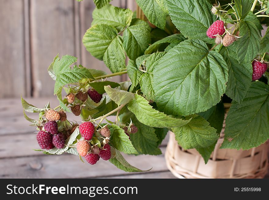 Raspberry on an wooden backgronnd