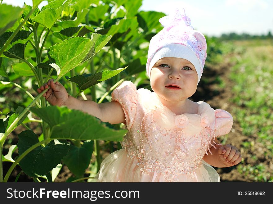 Little Child Walking In Green Field