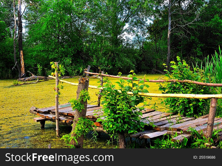 The old wooden bridge on the bank of a wetland pond