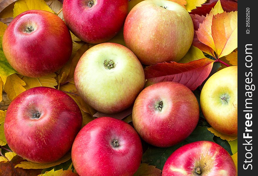 Juicy red apples are part of a healthy diet