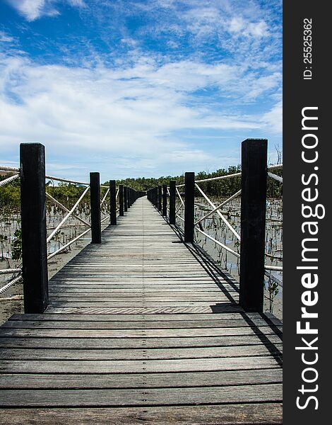 Wood bridge in mangrove forest