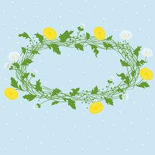 Vector Dandelion Frame Royalty Free Stock Image Vector Dandelion Frame Royalty Free Stock Image