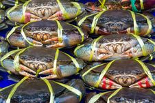 Fresh Crabs On Sale Royalty Free Stock Photos Fresh Crabs On Sale Royalty Free Stock Photos