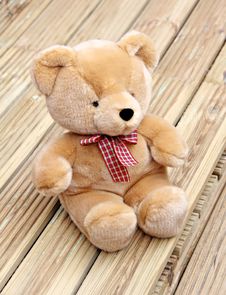 Lonely Bear Solitude Stock Photo Lonely Bear Solitude Stock Photo