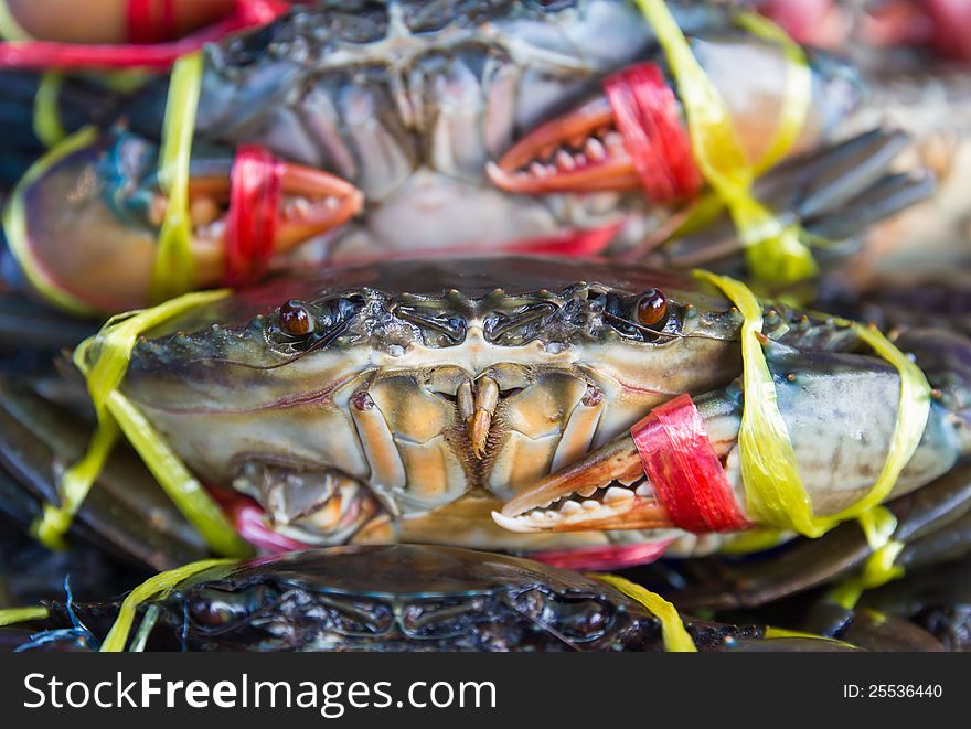 Fresh crabs on sale at a local market in Thailand