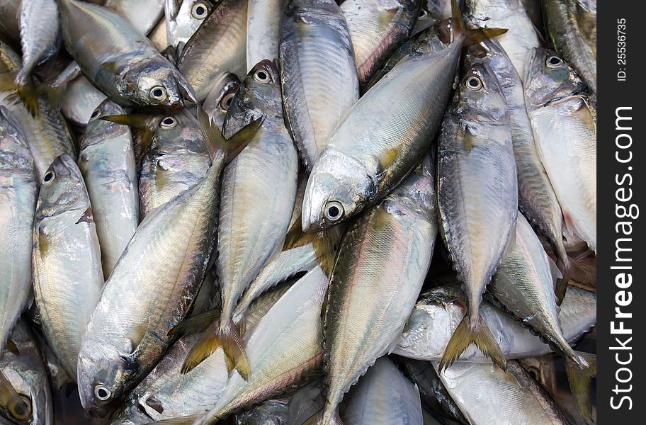 Fresh mackerel from sea in market .Thailand